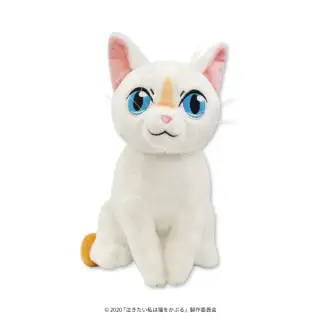 泣きたい私は猫をかぶる BIGぬいぐるみの画像
