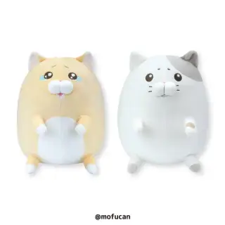 泣きむし猫のキィちゃん ましゅもっちの画像