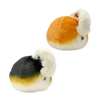 柴犬！？クッションの画像