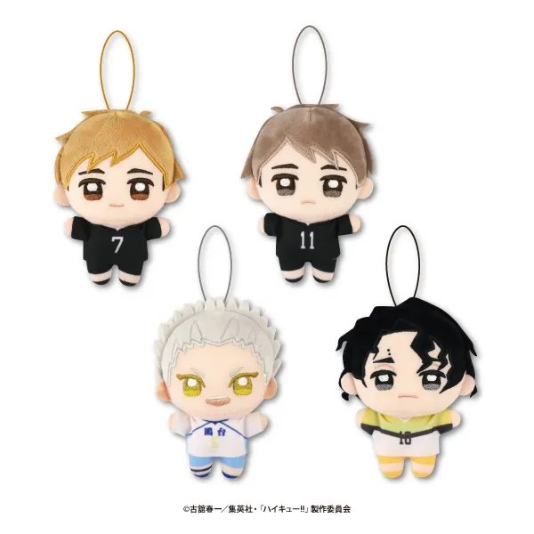 ハイキュー!! ぬいぷりけmini4(画像)