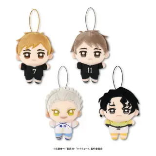 ハイキュー!! ぬいぷりけmini4の画像