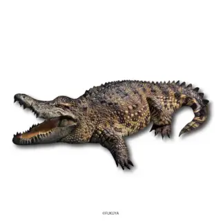 リアルワニクッションの画像