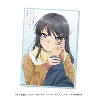 青春ブタ野郎はゆめみる少女の夢を見ない フリースブランケットの画像