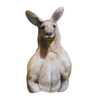 リアルカンガルークッションの画像