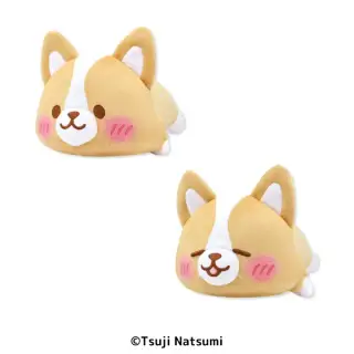 まるまるコーギー ましゅもっちの画像
