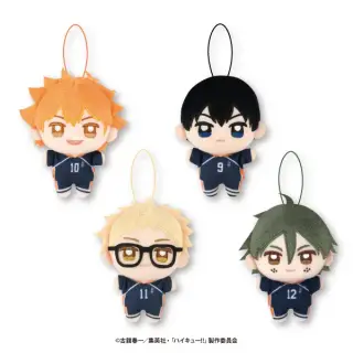 ハイキュー!! ぬいぷりけminiの画像