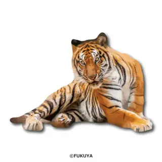 リアルトラクッションの画像