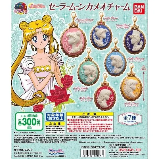 美少女戦士セーラームーン カメオチャームの台紙