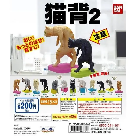 猫背2の台紙