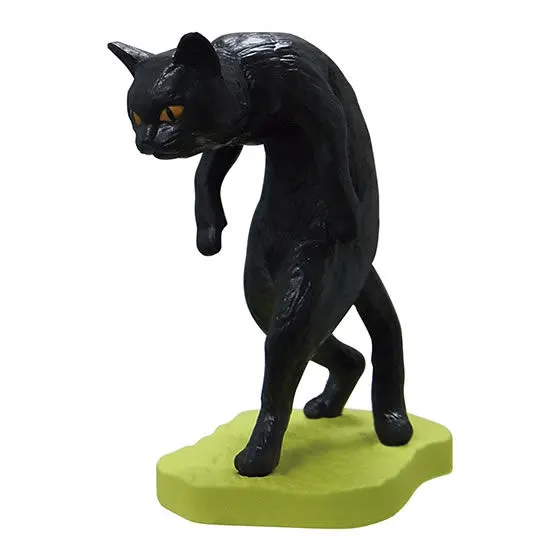 猫背2 クロ
