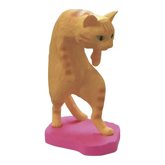 猫背2 茶トラ