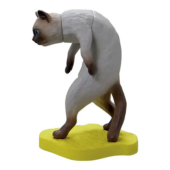 猫背2 シャム