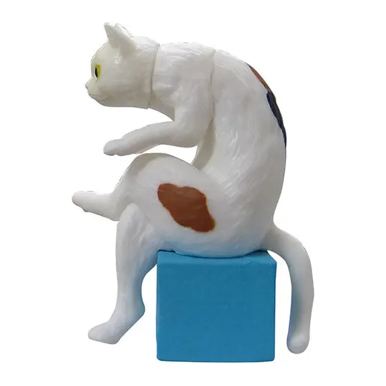 猫背2 三毛