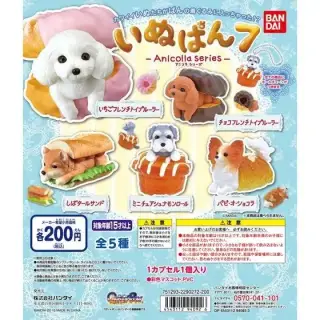 いぬぱん７の画像