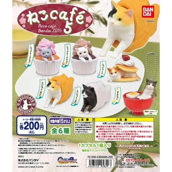ねこcafé5の台紙