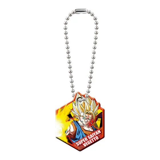 【mini】ドラゴンボール 超戦士プレート 超サイヤ人ベジット