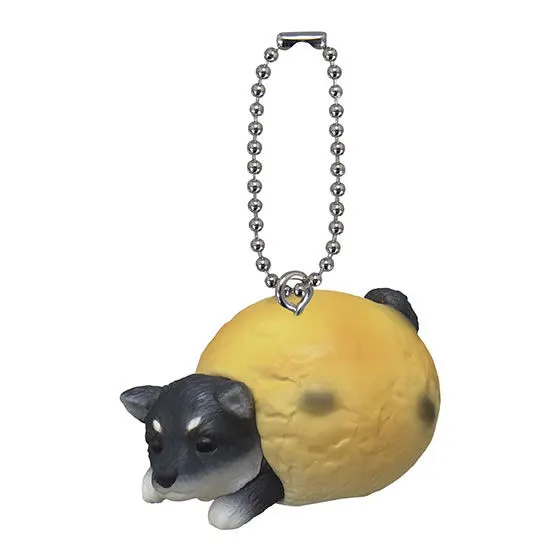 アニコラ いぬぱん10 黒豆しばパン