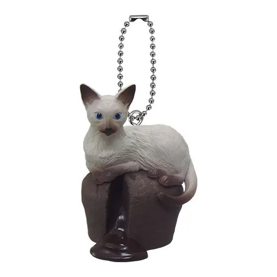 アニコラ　ねこcafe7 フォンニャンショコラ
