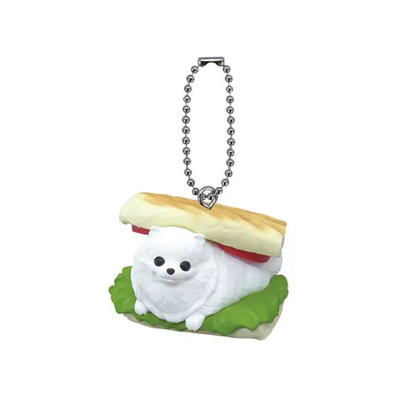 アニコラ　いぬぱん11 ポメニーニ