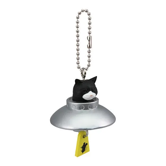完全に一致シリーズ　猫は宇宙人だった！ シロクロ（ニャダムスキー型）