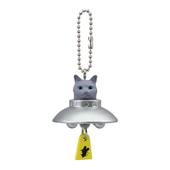 完全に一致シリーズ　猫は宇宙人だった！ グレー（ニャダムスキー型）