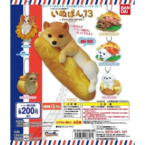 アニコラ いぬぱん13の台紙