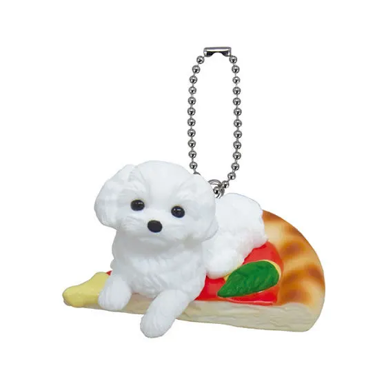 アニコラ いぬぱん14 マルチーズゲリータ
