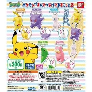 ポケットモンスター　つまんでつなげてますこっと2の画像