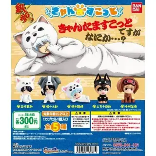 銀魂　きゃん魂すこっとの画像