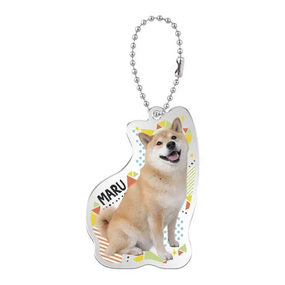 柴犬まる まるのアクリルマスコット まる ふりむき