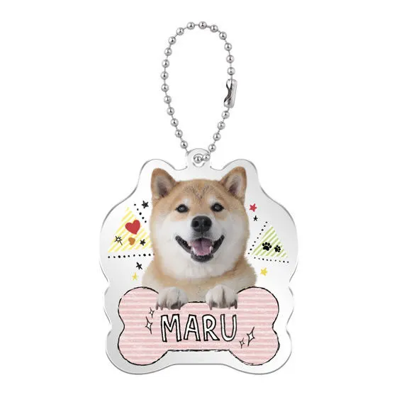 柴犬まる まるのアクリルマスコット まる お散歩