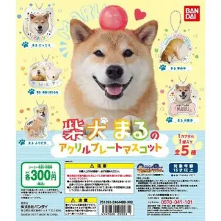 柴犬まる　まるのアクリルマスコットの画像