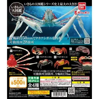 いきもの大図鑑　かに02の画像