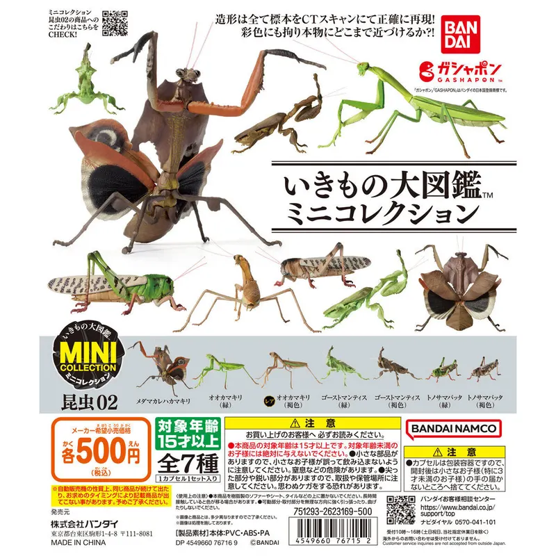 いきもの大図鑑ミニコレクション 昆虫02の台紙