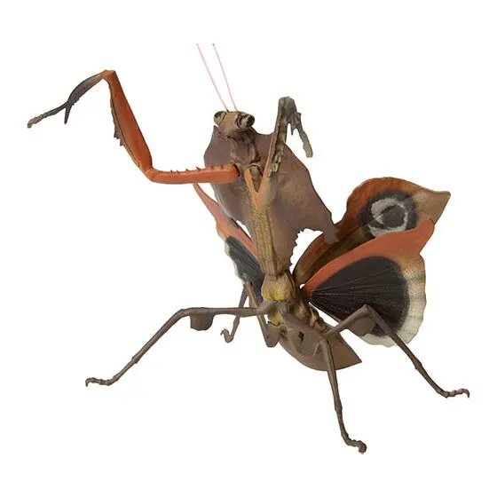 いきもの大図鑑ミニコレクション 昆虫02 メダマカレハカマキリ