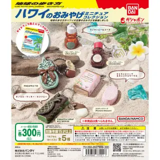 地球の歩き方 ハワイのおみやげミニチュアコレクションの画像