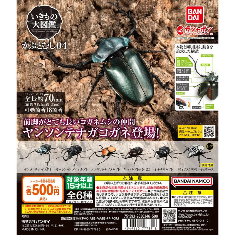 いきもの大図鑑 かぶとむし04の台紙