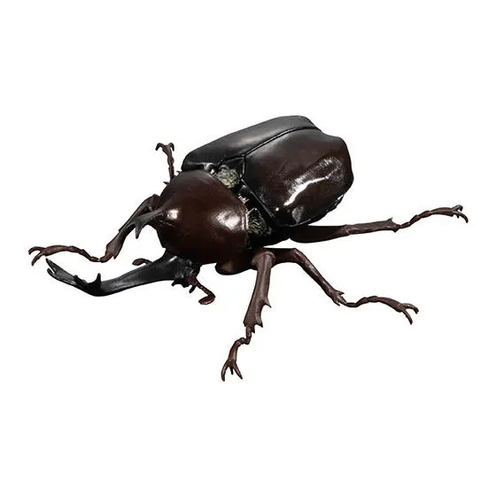 いきもの大図鑑 かぶとむし04 ヤマトカブトムシ(改)