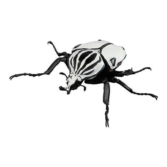 いきもの大図鑑 かぶとむし04 ゴライアスクワドリマキュラトゥス