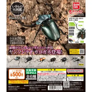 いきもの大図鑑 かぶとむし04の画像
