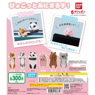 ぴょこっとあにまるず！の画像