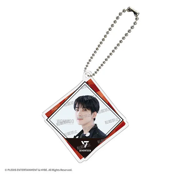 SVTアクリルチャームvol.2 From PLEDIS ENTERTAINMENT SEVENTEEN WONWOO