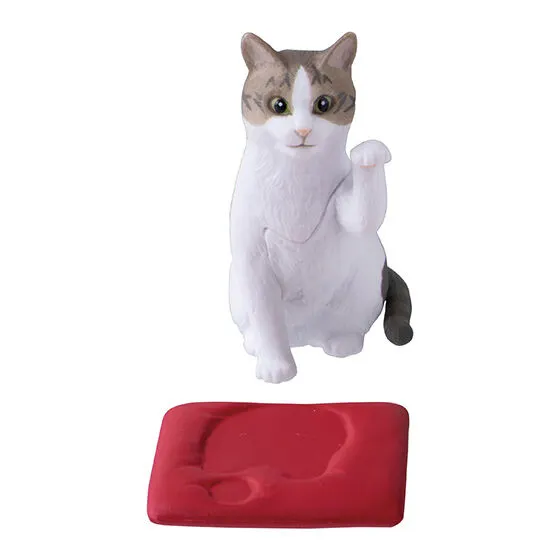 まねきます。 招きサバ猫