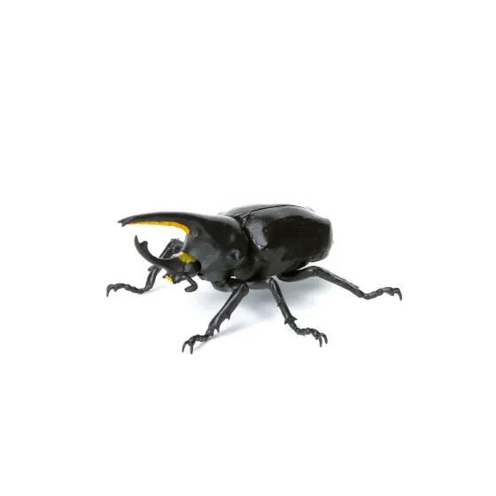 いきもの大図鑑ミニコレクション 昆虫03 グラントシロカブト(黒)