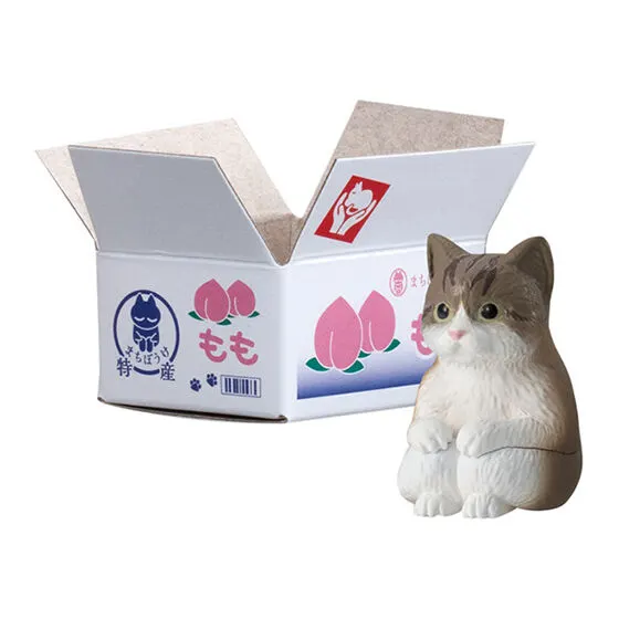 まちぼうけ猫3 キジ白(子猫)