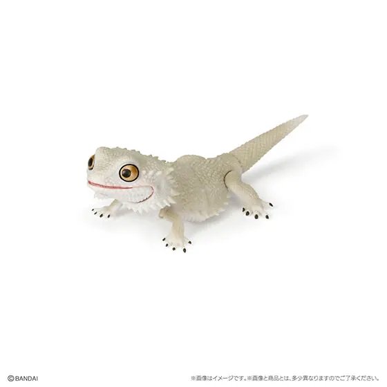 いきもの大図鑑レプティ フトアゴヒゲトカゲ フトアゴヒゲトカゲ(ゼロ)