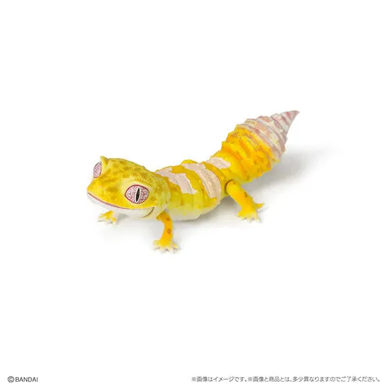いきもの大図鑑レプティ フトアゴヒゲトカゲ レオパードゲッコー(トレンパーアルビノ)