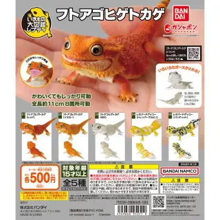 いきもの大図鑑レプティ フトアゴヒゲトカゲの画像