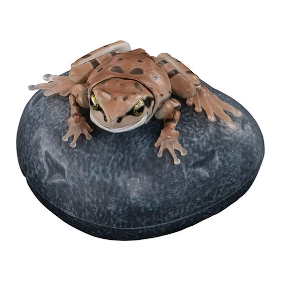 いきもの大図鑑アドバンス アマガエル アマガエル(土色)