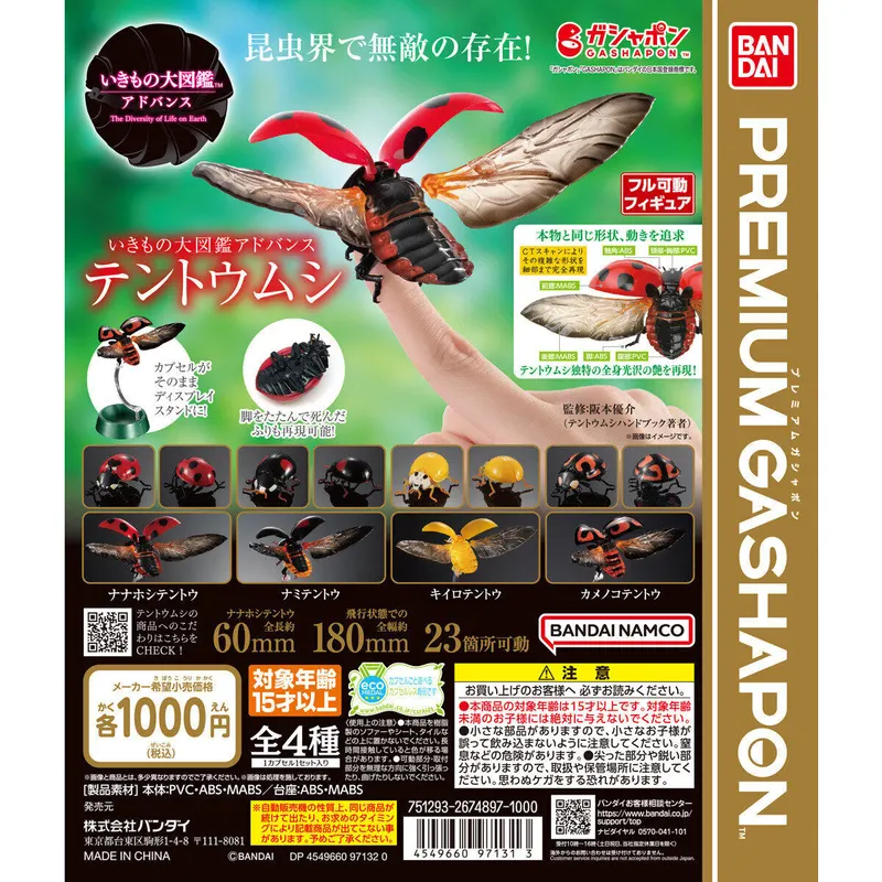 いきもの大図鑑アドバンス テントウムシの台紙